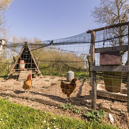 Gite Champetre Renove Avec Terrasse & Equipements, Proche Pornic - Animaux Acceptes - Fr-1-306-1027 Villa Frossay Luaran gambar