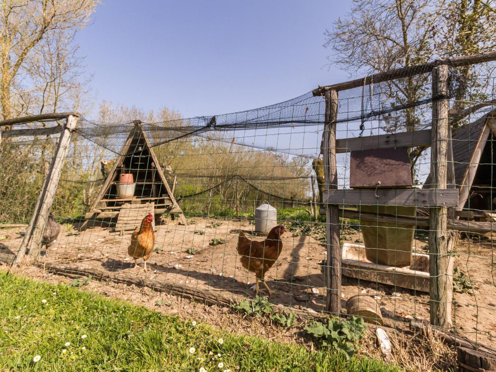 Gite Champetre Renove Avec Terrasse & Equipements, Proche Pornic - Animaux Acceptes - Fr-1-306-1027 Villa Frossay Luaran gambar